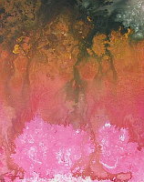 Tim Seaward